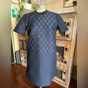 Madewell Polka Dot Dress